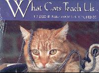 What Cats Teach Us 2001 Calendar