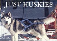 Huskies 2001 Calendar