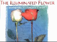 The Illuminated Flower 2001 Calendar