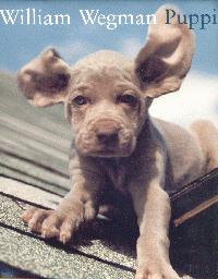 William Wegman Puppies 2001 Calendar